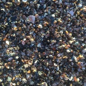 Meet your Posher, Gaby